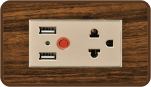 TOMA Y USB MADERA DOGEC