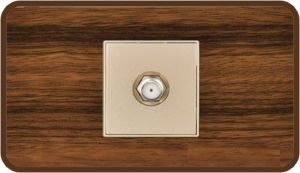 INTERNET RJ45 TOMA MADERA DOGEC