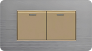 INTER DOBLE SILVER GOLD DOGEC