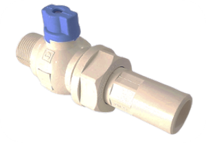 CORPORATION 1/2 CONCYSSA